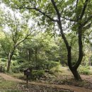 용인자연휴양림4 이미지