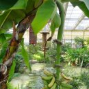 창녕우포곤충나라 이미지