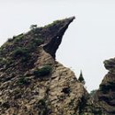 쉴만한물가 민박 이미지