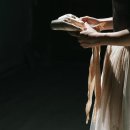 동탄뿌리한의원 | "선생님, 제 플리에는 왜 안 눌러질까요?" : 움직임의 '바탕'을 만드는 치료 ㅣ 동탄 데가제 한의원