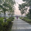 하천(갑천5) 이미지