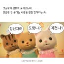 꼴보기 싫은 웹툰 댓글 모음 이미지