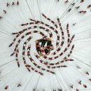 거대한 중국의 군중예술(집단 예술) 이란? 이미지