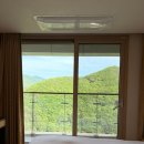정선 하이원 여행 코스 추천 | 힐콘도, 숲체험, 요가, 워터월드 이용 후기