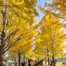 왕산리마을회관 이미지