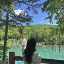 (주)비에이21 | 여름 삿포로 여행 준비(6월 7월 날씨, 옷차림, 항공권, 숙소위치, 환전, 유심or이심 / 비에이투어)