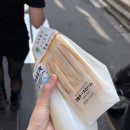 2023-0022 | 눈부신 세계로 너와 함께