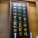달구벌대로 티스토리