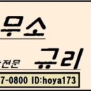 법률사무소규리