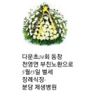 영연 이미지