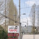 마장동아재네정육식당 이미지