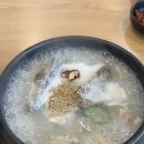 왕벚꽃식당 | 제주도 4박 5일 뚜벅이 혼자 여행 - 3,4일차