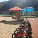 메밀꽃유치원 이미지