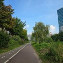 학의천 | 아로가에서 뼈해장국먹고 학의천 산책했어요