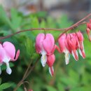 바른손한의원 이미지