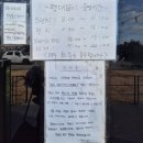 한패처럼 | [제주 동쪽 맛집] '평대앓이 구좌 평대리' 딱새우회+딱새우머리라면 딱새우카세 풀코스 후기