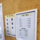 마루콩콩 이미지