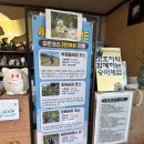 승마랜드 | 제주 아이랑 가볼만한곳 / 제주오름승마랜드 내돈내산 후기!