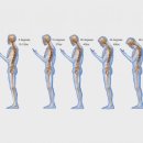 한양마디의원 이미지