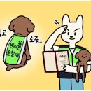 벚꽃로308 ~ 벚꽃로56길8 전체 | 안녕! 여름(24.06.02~06.09)