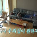 필드 오락실 이미지