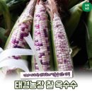 태경농장 이미지