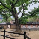 덕수궁 돌담길 따라 걷는 시간여행 / 서울도보해설관광 ‘모던타임즈 인 정동’ 후기