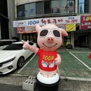 호탄숯불구이 | 진주 호탄동 맛집 1004화로구이 호탄점에서 소주 맥주가 2000원