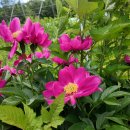 보현산 약초마을 이미지