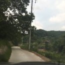 양지별밤