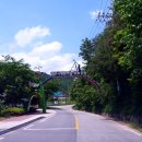 왕피천공원사업소 이미지