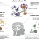 Re:Microglia in Neurological Diseases: A Road Map to Brain-Disease Dependent-Inflammatory Response 이미지
