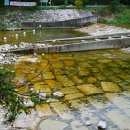 캠핑포유캠핑장 이미지