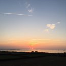 초원게스트 이미지