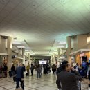 맨하탄명품세탁소 | 23 보스턴/프로비/뉴욕의 가을