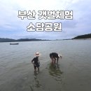 부산 해루질 소담공원 갯벌 체험 후기, 아이와 무료로 즐긴 바다 나들이
