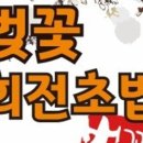 벚꽃초밥집