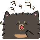 슈가몽 애견펜션 이미지