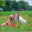 퍼스트 동물메디컬 센터 이미지