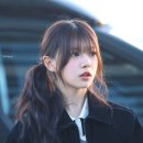 하이레나