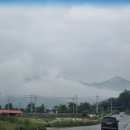 그녀의산약초 이미지