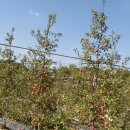 승기농장 이미지