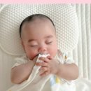 베베유카 이미지