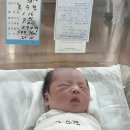 제부한빛 | 산본제일병원 제왕절개 후기 (1인실 입원 3일차임)