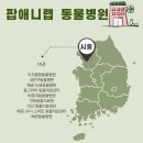 팝애니랩 이미지