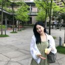 디페드 이미지