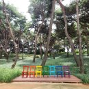 카페솔솔(청주흥덕시니어클럽) 이미지