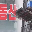 만기네집 이미지