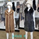 강남세탁의 명가 이미지