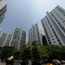 우성동백 이미지